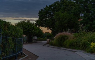 Gri taş kaldırımlı ve yeşil çimenli parkta beton yol