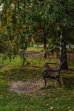Şehir parkında sonbahar. Sarı yapraklı güzel sonbahar manzarası.