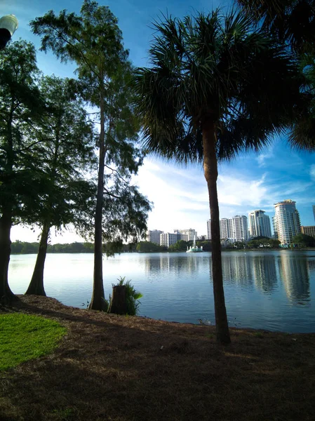 Reggeli Napkelte Sétál Körül Lake Eola Park Szívében Orlando Florida — Stock Fotó