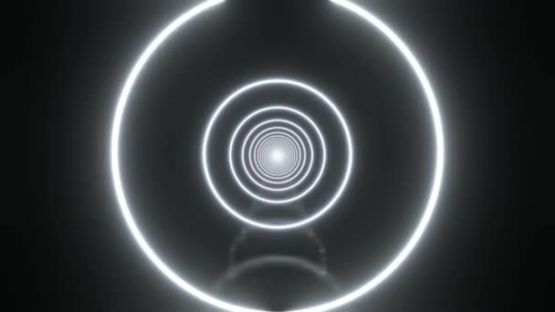 Abstrakt Zářících Kruhů Neonový Světelný Tunel Tmě Animace Smyčky — Stock video