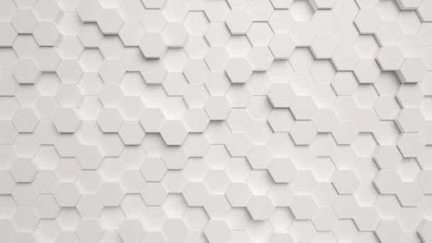 Rendering Abstract White Geometric Background Loop Animation — Stock Video