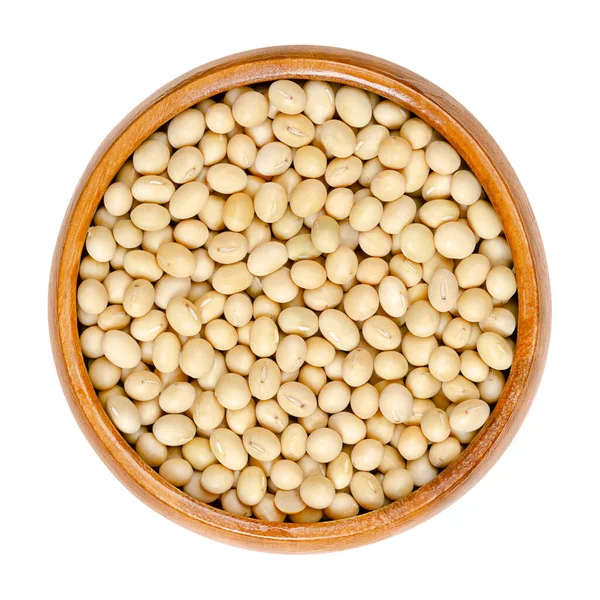 Raw Soybeans Wooden Bowl Whole Dried Seeds Legume Oilseed Glycine — Stock Photo, Image