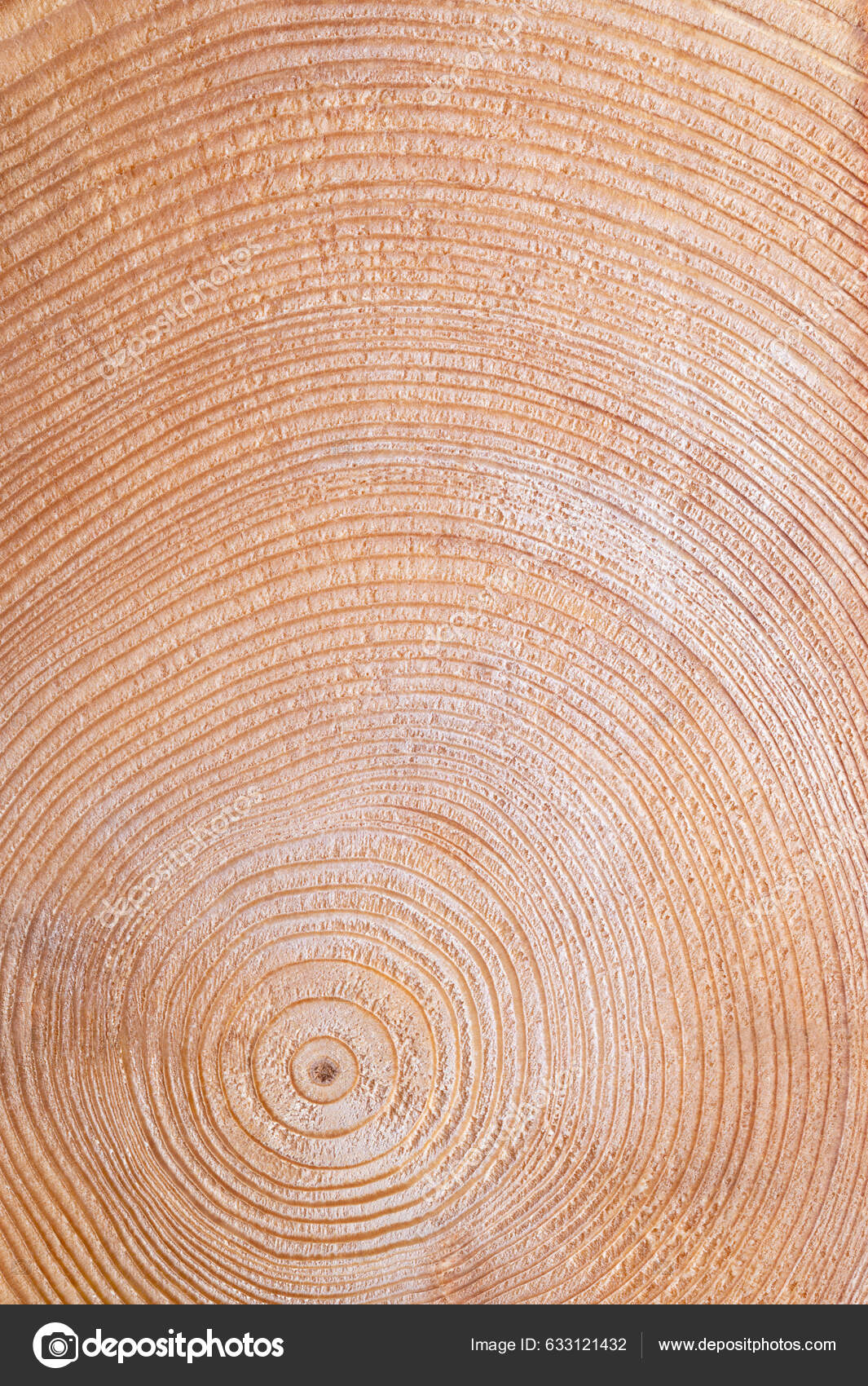 Solved] LAB 8: TREE RINGS Name: [100 points] Section: PART 1 -  INTERPRETING... | Course Hero