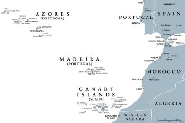 Azores, Madeira ve Kanarya Adaları, gri politik harita. Portekiz ve İspanya 'nın özerk bölgeleri, Kuzey Atlantik Okyanusu' nun Macaronezya Bölgesi 'ndeki volkanik adaların takımadaları,.