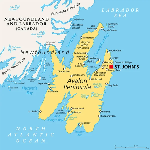 stock vector Avalon Peninsula, political map. Southeast portion of island of Newfoundland, off the coast of mainland North America, part of Canadian province of Newfoundland and Labrador, with capital St. John's.
