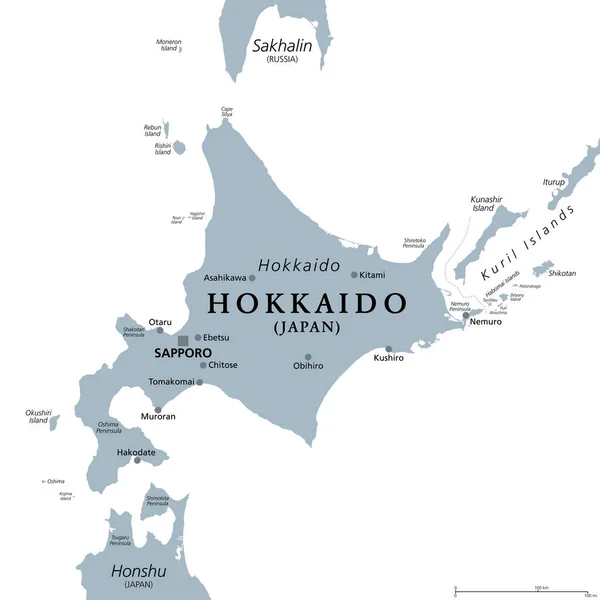 Hokkaido Second Largest Island Japan Gray Political Map Capital Sapporo — Wektor stockowy