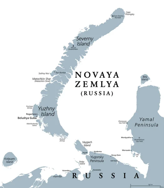 Novaya Zemlya 俄罗斯北部群岛 灰色政治地图 位于北冰洋 由塞弗尼岛和尤兹尼岛组成 冷战期间的大部分时间里的核武器试验场 — 图库矢量图片