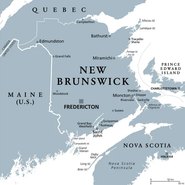 新不伦瑞克 加拿大海洋和大西洋省 灰色政治地图 毗邻魁北克 新斯科舍省 圣劳伦斯湾 芬迪湾和美国缅因州 有资本弗雷德里克顿 — 图库矢量图片