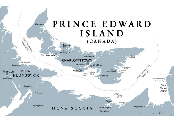 爱德华王子岛 加拿大海洋和大西洋省 灰色政治地图 圣劳伦斯湾的岛屿 与新不伦瑞克和新斯科舍省接壤 首府为夏洛特敦 — 图库矢量图片