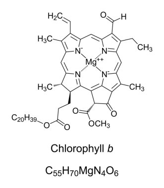 Klorofil b, kimyasal formül ve yapı. Kara bitkilerinde saklanarak ışık enerjisini emerek fotosentezde yardımcı olunur. Bir düzlem porfirin halkasındaki 4 nitrojen atomuna bağlı tek magnezyum atomu..