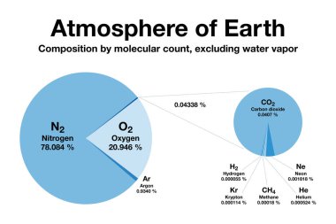 Dünya atmosferi, pasta grafiği. Su buharı hariç, moleküler sayıma göre bileşim. Kuru hava% 78 nitrojen,% 21 oksijen,% 1 argon ve sadece% 0.04 karbondioksit içerir..