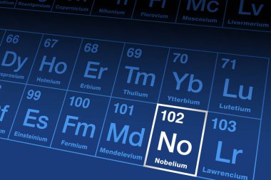 Periyodik tabloda nobelium var. Aktinit serisindeki radyoaktif metalik element, atom numarası 102 ve sembolü No, dinamit mucidi Alfred Nobel 'in anısına. Vektör.