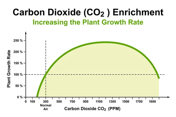 温室栽培では100年近く知られている植物の成長を向上させるために 約1100百万分の1に二酸化炭素 Co2 濃縮物 炭素受精効果の模式図 ベクトル — ストックベクタ
