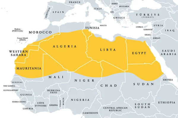 撒哈拉 非洲大陆的沙漠 政治地图 位于地中海沿岸富饶地区和萨赫勒之间的世界上最大的热沙漠 占北非大部分地区 — 图库矢量图片