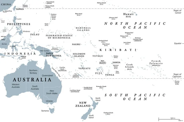 大洋洲 灰色政治地图 澳大利亚和太平洋 包括新西兰 地理区域 亚太地区东南部 包括澳大利亚 美拉尼西亚 密克罗尼西亚和波利尼西亚 — 图库矢量图片
