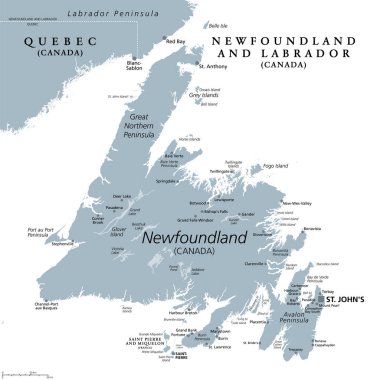 Newfoundland Adası, gri politik harita. Kanada 'nın Newfoundland ve Labrador eyaletlerinin bir kısmı başkenti St. Johns' dur. Kuzey Amerika kıyılarındaki ada Labrador Denizi 'nin güneybatısında..