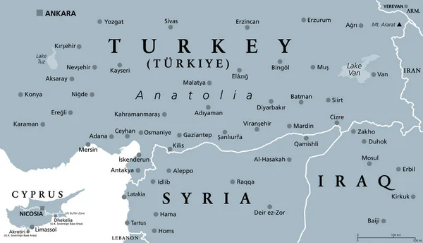 Ingår Den Turkiska Halvön Anatolien Grå Politisk Karta Geografiska Regioner — Stock vektor
