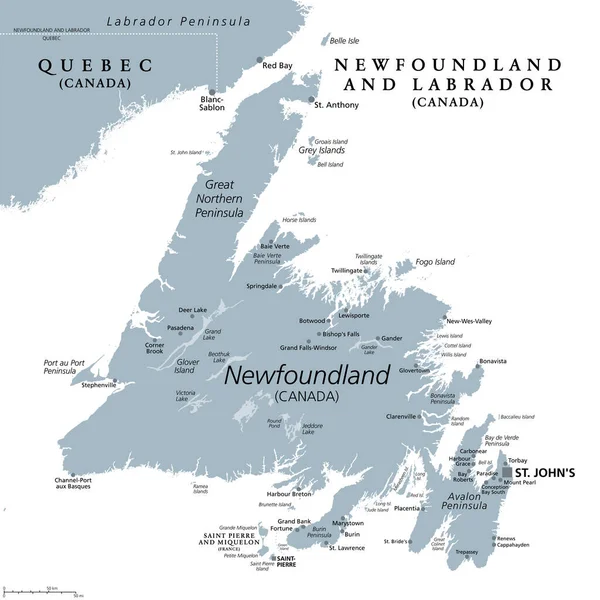 纽芬兰岛 灰色政治地图 加拿大纽芬兰和拉布拉多省的一部分 首府为圣约翰 拉布拉多海西南部北美大陆海岸外的岛屿 — 图库矢量图片