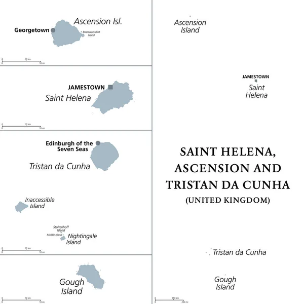 Saint Helena Ascension Tristan Cunha Gray Political Map British Overseas — Stock Vector