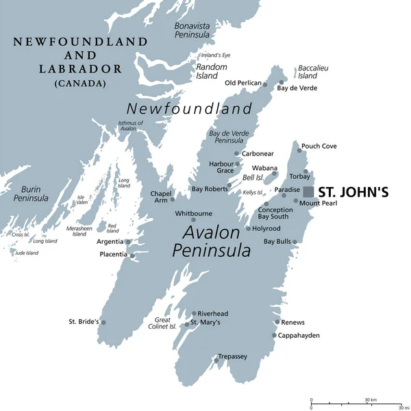 阿瓦隆半岛灰色政治地图纽芬兰岛的一部分 位于北美大陆海岸 加拿大纽芬兰省和拉布拉多省的一部分 首府圣约翰 — 图库矢量图片