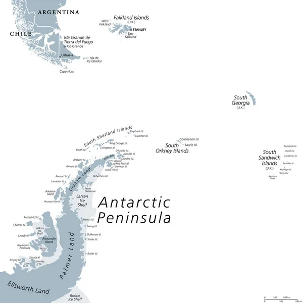 南極半島地域 灰色の政治地図 パタゴニア南部 フォークランド諸島 サウスジョージア島 サウスサンドイッチ諸島 サウスオークニー諸島 南極半島から — ストックベクタ