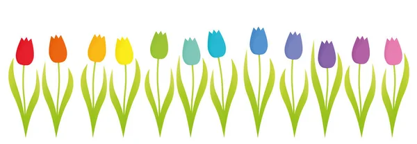 Barevné Tulipány Duhový Gradient Dvanácti Barevnými Květy Řadě Izolovaná Vektorová — Stockový vektor