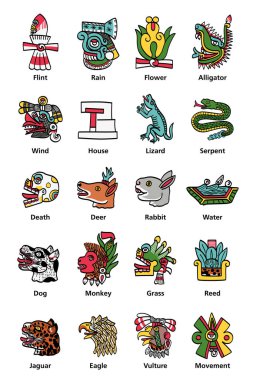 Aztek takvimi, tonalpohualli 'nin (gün sayısı) gündüz işaretleri. Aztek Codex Magliabechiano 'da 16. yüzyıldan tasvir edilen yirmi Aztek takvim ve ismi. İzole illüstrasyon.