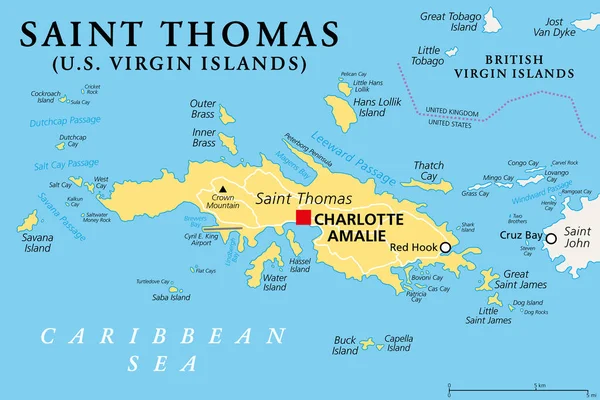 Saint Thomas Wyspy Dziewicze Stanów Zjednoczonych Mapa Polityczna Jedna Trzech — Wektor stockowy