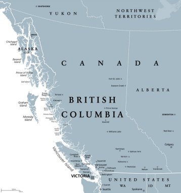 British Columbia, BC, Kanada vilayeti, gri politik harita. Pasifik Okyanusu 'nda Alberta, Kuzeybatı Toprakları, Yukon ve Amerika Birleşik Devletleri Alaska, Idaho, Montana ve Washington ile çevrili..
