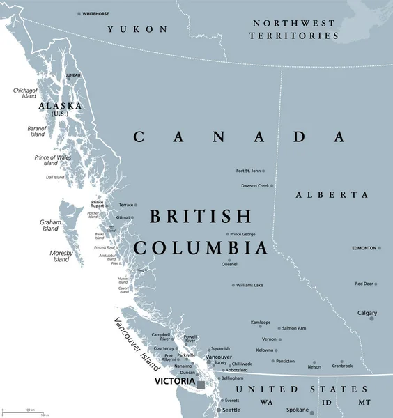 不列颠哥伦比亚省 不列颠哥伦比亚省 加拿大省 灰色政治地图 位于太平洋沿岸 与艾伯塔省 西北地区 育空地区和美国阿拉斯加州 爱达荷州 蒙大拿州和华盛顿州接壤 — 图库矢量图片