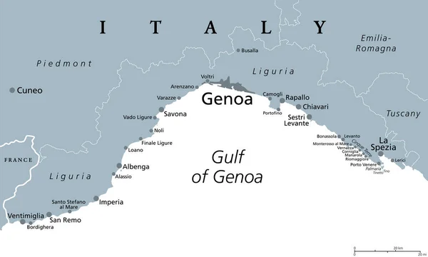 Ligurie Italská Riviéra Ligurská Riviéra Šedá Politická Mapa Region Severozápadní — Stockový vektor