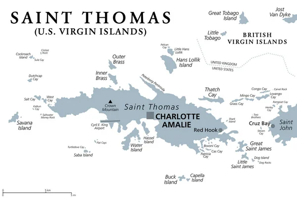 圣托马斯 美属维尔京群岛 灰色政治地图 南加州三个最大的岛屿之一 夏洛特阿马利亚的领土首府和港口也位于岛上 — 图库矢量图片
