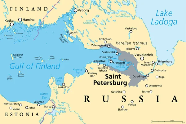 圣彼得堡地区 政治地图 俄罗斯第二大城市 以前被称为彼得格勒 后来又被称为列宁格勒 位于内瓦河畔 在波罗的海的芬兰湾的上游 — 图库矢量图片