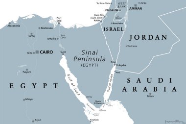 Sinai Yarımadası, gri politik harita. Mısır 'daki yarımada, Akdeniz ile Kızıl Deniz arasında Asya ve Afrika kıtaları arasında bir kara köprüsü. İsrail, Ürdün ve Suudi Arabistan 'ın bir kısmıyla.