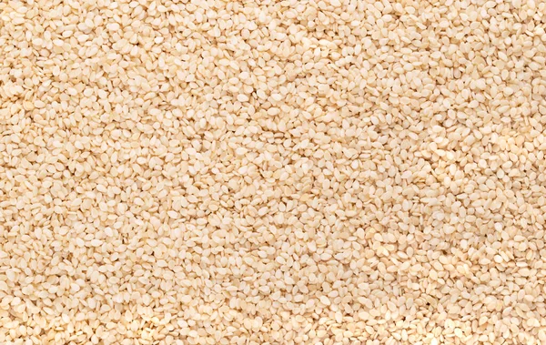Корпус Белые Семена Кунжута Поверхность Сверху Sesamum Indicum Называемый Benne — стоковое фото