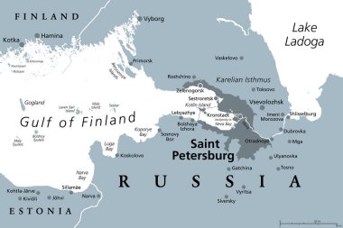 Saint Petersburg bölgesi, gri politik harita. Rusya 'nın ikinci büyük şehri, eski adıyla Petrograd ve daha sonra Leningrad. Neva Nehri 'nde, Baltık Denizi' ndeki Finlandiya Körfezi 'nin başında..