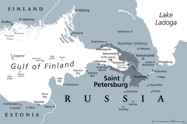 Zona San Petersburgo Mapa Político Gris Segunda Ciudad Más Grande — Vector de stock