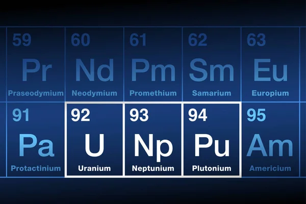 Uranium Neptunium Plutonium Sur Tableau Périodique Éléments Métalliques Radioactifs Série — Image vectorielle