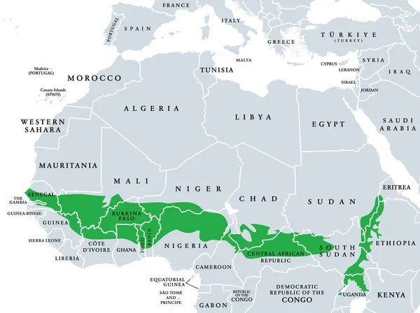 Súdánská Savana Politická Mapa Široký Pás Tropické Savany Napříč Africkým — Stockový vektor