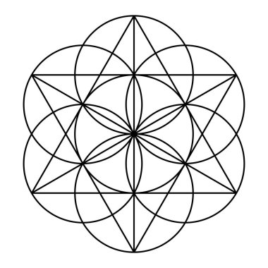 Yaşamın tohumu, yedi üst üste binen daire, bir altıgen (sexagram), antik bir geometrik figür ve Kutsal Geometri oluşturmak için temel şekli oluşturur..