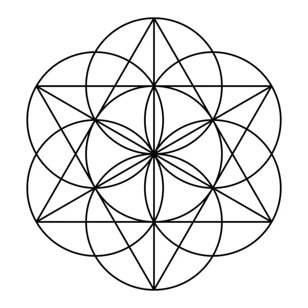 Lebenssamen Sieben Sich Überlappende Kreise Bilden Die Grundform Ein Hexagramm — Stockvektor