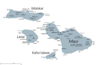 Hawaii 'nin Maui ilçesi, gri politik harita ve koltuk Wailuku. Maui, Lanai, Molokai, Kahoolawe ve Molokini adalarından oluşmaktadır. Molokai 'nin kuzey kıyısındaki Kalawao County ile..