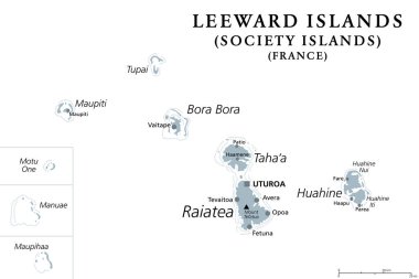 Leeward Adaları, gri politik harita. Fransız Polinezyası 'ndaki Toplum Adaları' nın batısında. Güney Pasifik 'te Fransa' nın denizaşırı kolektifliği, Raiatea 'nın en büyük adasında başkent Uturoa ile.