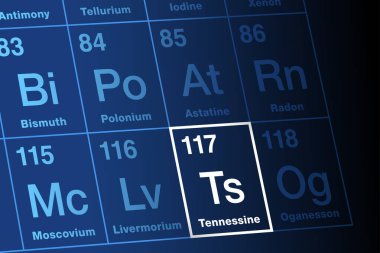 Periyodik elementler tablosunda tennesin. Aşırı derecede radyoaktif, süper ağır, sentetik transaktinit element. Sembol T 'ler, atom numarası 117, Amerika Birleşik Devletleri' nin Tennessee eyaletinden sonra isimlendirildi. Vektör.