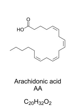 Arachidonik asit, AA veya ARA, kimyasal formül ve yapı. Polyunurated omega-6 yağ asidi, vücut hücrelerinin zarlarının fosfolipidlerinde bulunur, ve beyinde, kaslarda ve karaciğerde bol miktarda bulunur..