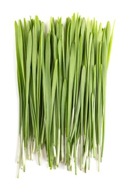 Taze buğday çimi. Bir demet filizlenmiş buğday, Triticum aestivum, yiyecek, içecek veya beslenme takviyesi için kullanılır. Klorofil, amino asit, mineral, vitamin ve enzim içerir..