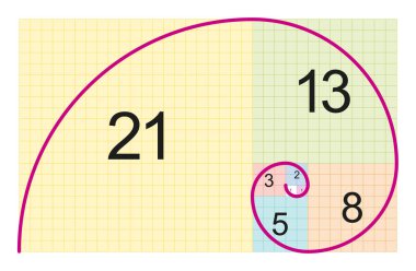 Fibonacci spirali ve altın spiralin yakınlığı. Kiremitlerdeki karelerin zıt köşelerini birbirine bağlayan dairesel kavisler, kenar uzunlukları art arda Fibonacci sayıları olan kareler..