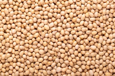 Kurutulmuş soya fasulyesi, arka plan, yakın plan, yukarıdan. Çok yüksek protein ve yağ içeriğiyle soya fasulyesi ya da soya fasulyesi olarak da bilinen baklagil ve yağ tohumu maksimumunun tam ve çiğ tohumları. Yemek fotoğrafı..