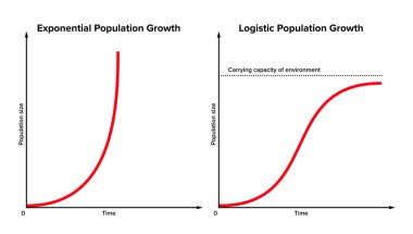 Üs, lojistik nüfus artışına karşı. Gerçekte, ilk eksponansiyel büyüme genellikle sonsuza kadar sürdürülemez. Bir süre sonra, dış veya çevresel faktörler tarafından yavaşlatılacaktır. Vektör