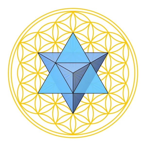 マカバの花 聖なるジオメトリ 二重四面体の星テトラヘドロンは 重なり合う円で構成された幾何学的な図の中心に位置し 花のようなパターンを形成する — ストックベクタ